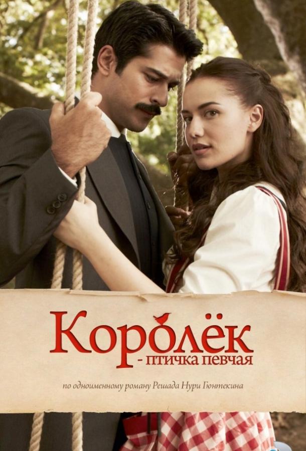 Королёк – птичка певчая / Calikusu