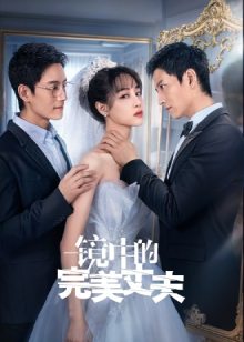 Идеальный муж в зеркале / The Perfect Husband in the Mirror / Jing Zhong De Wan Mei Zhang Fu / 镜中的完美丈夫