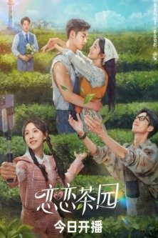 Любовь в чайном саду / Love in the Tea Garden / Ming Ming Zhi Zhong Ai Shang Ni / Qian Jin Bao Biao / Lian Lian Cha Yuan